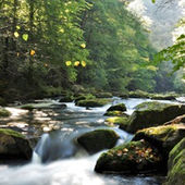 [Translate to Englisch:] Tourismus in Sachsen-Anhalt